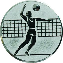 Вкладыш D2 A6-S