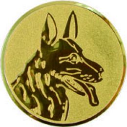 Вкладыш D2 A77-G