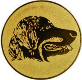 Вкладыш D2 A79-G