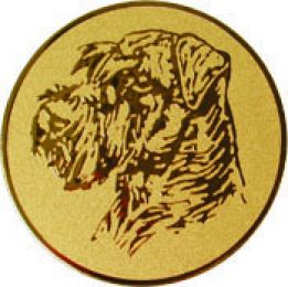 Вкладыш D2 A91-G