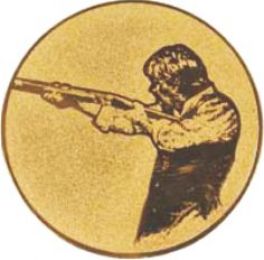 Вкладыш D2 A52-G
