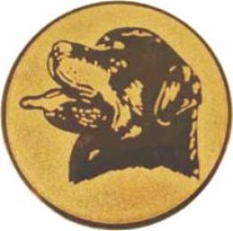 Вкладыш D2 A78-G
